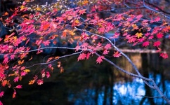 男生越往里越有劲视频动漫